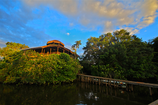 Gallery image 1