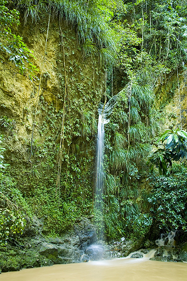 Gallery image 8