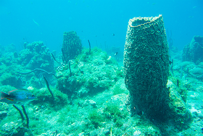 Gallery image 10
